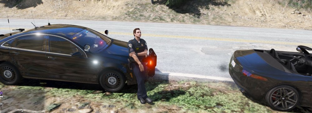 lspdfr 0.4 waiting 1.JPG