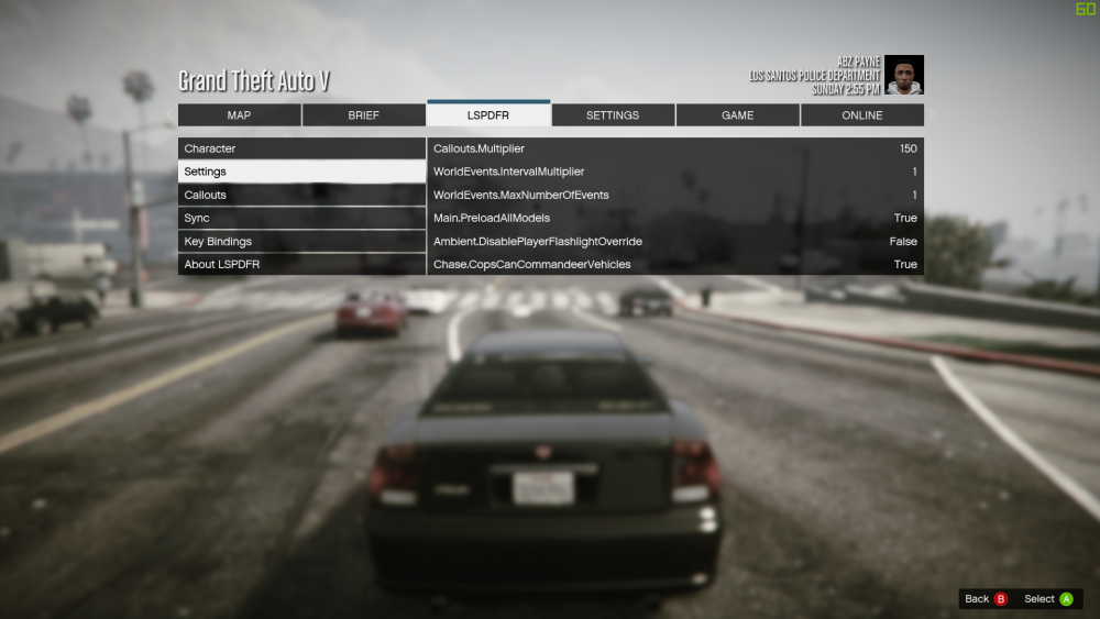 LSPDFR Tab - Settings.png
