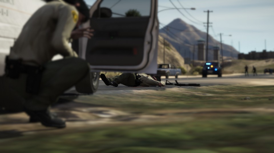 lspdfr(6).jpg.14f13838f240e22cc5725b373ac8752f.jpg