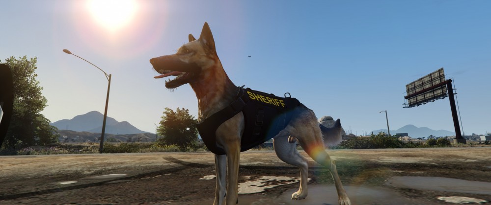 GTA5_2019_05_26_05_26_54_690.thumb.jpg.9fa860d91b56e71f4bce470514003c07.jpg