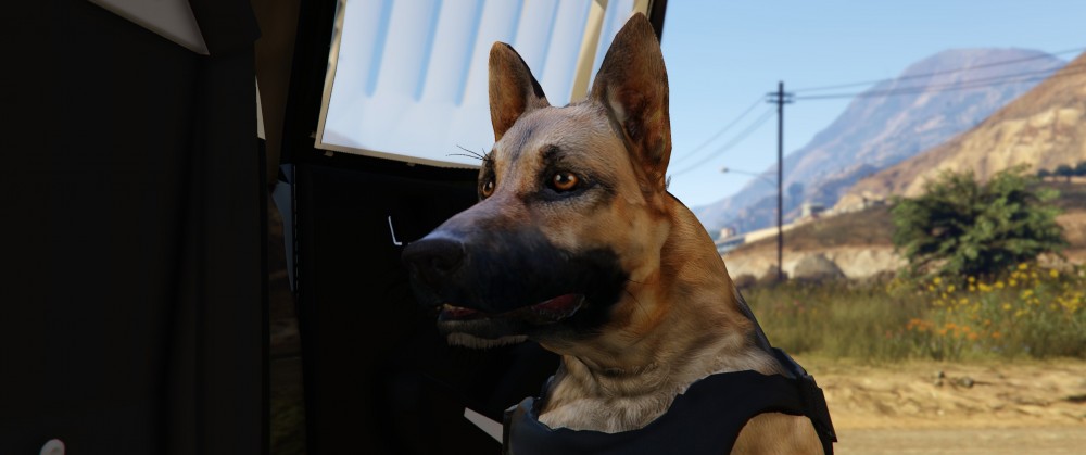 GTA5_2019_06_02_02_16_46_770.thumb.jpg.ea1b94cd63f7f9131ab575ba1bc330fd.jpg