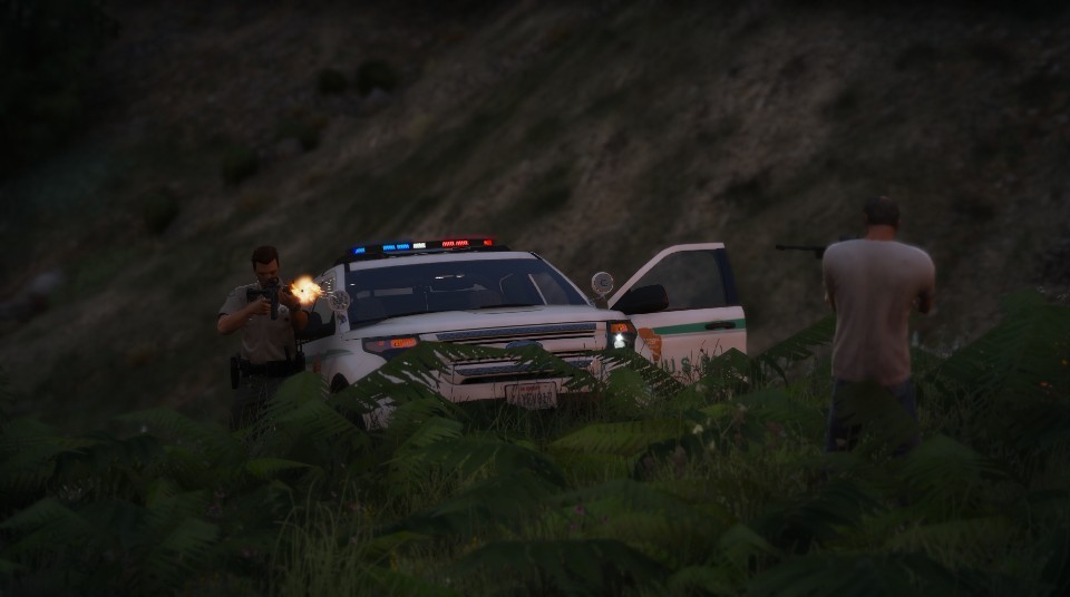 lspdfr(42).jpg.e9f74e587b3c56699563ea6b9a251b1d.jpg