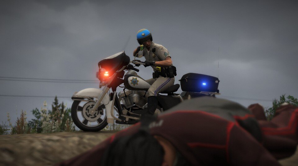 lspdfr(54).jpg.34623a223dece9e72d994fe3ab3a6f3d.jpg