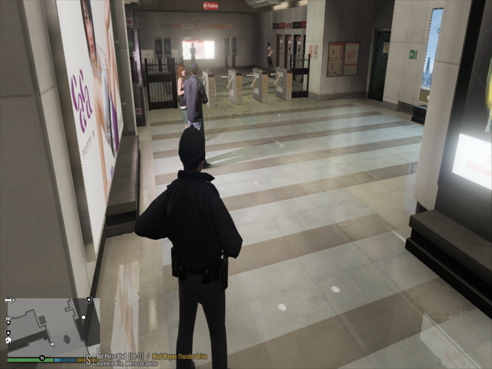 Grand Theft Auto V 13_01_2020 18_02_57.png