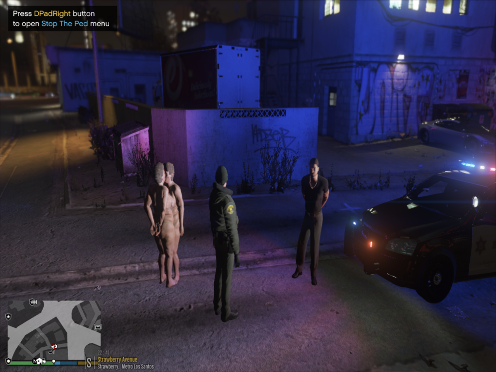 Grand Theft Auto V 27_01_2020 18_02_42.png