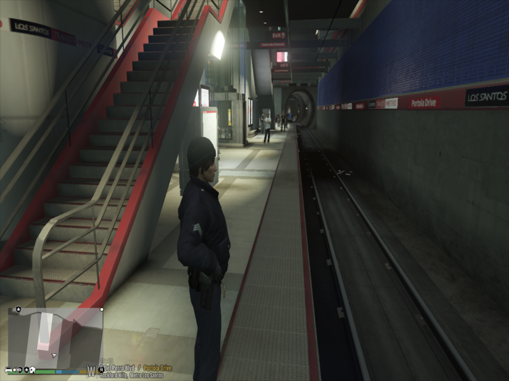 Grand Theft Auto V 13_01_2020 18_04_06.png