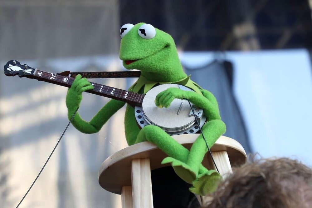Kermit-1024x683.jpg