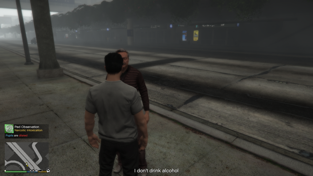 Grand Theft Auto V 4_11_2020 10_10_01 PM.png