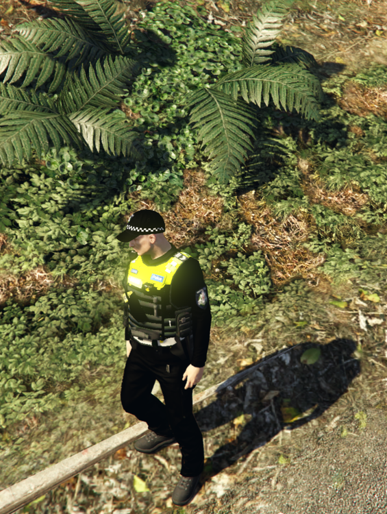 2020-04-05 02_17_54-Grand Theft Auto V.png