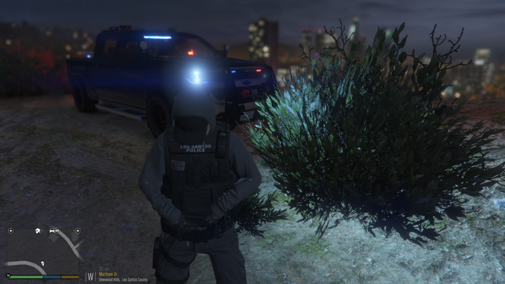 Grand Theft Auto V 4_23_2020 10_54_13 PM.png