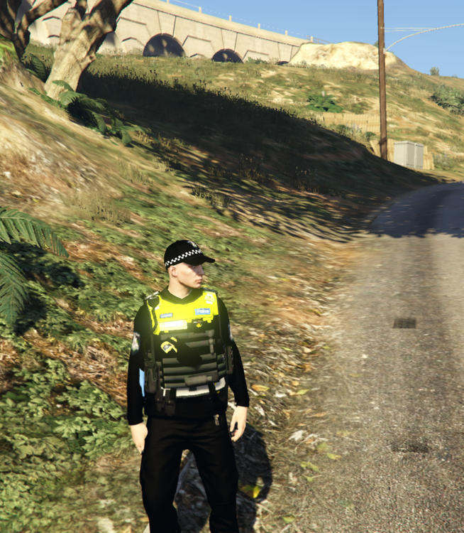 2020-04-05 02_17_48-Grand Theft Auto V.png