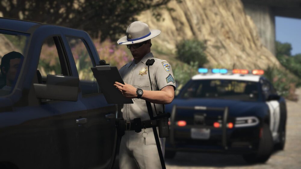 lspdfr3.thumb.jpg.3504d196e6980293cd6f23c86d163d21.jpg