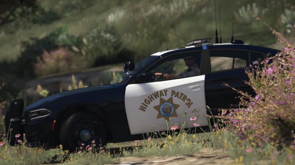 lspdfr4.thumb.jpg.1cdc8bef5aed12e60f7f07019408526c.jpg