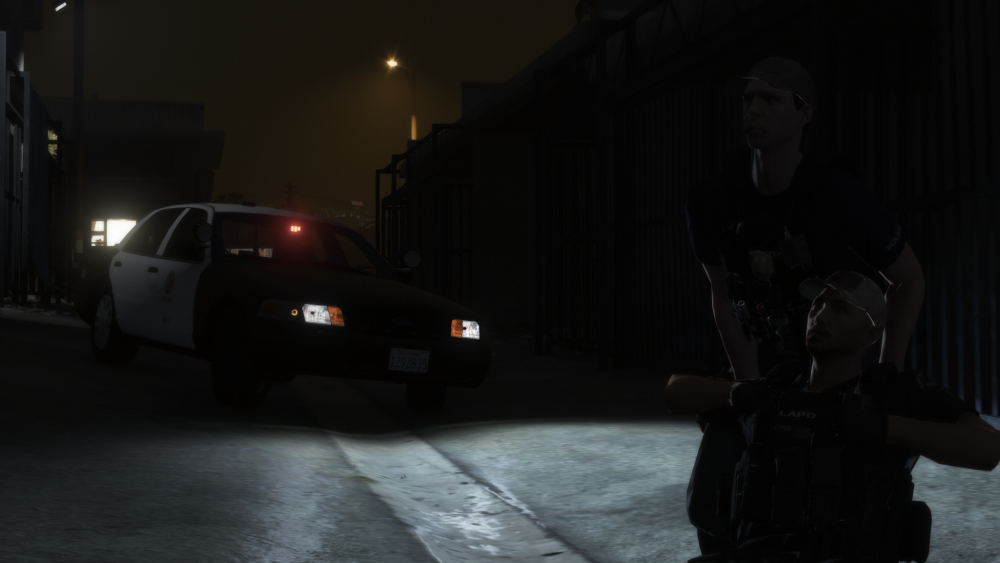 Grand Theft Auto V Screenshot 2020.06.07 - 16.26.44.06.png