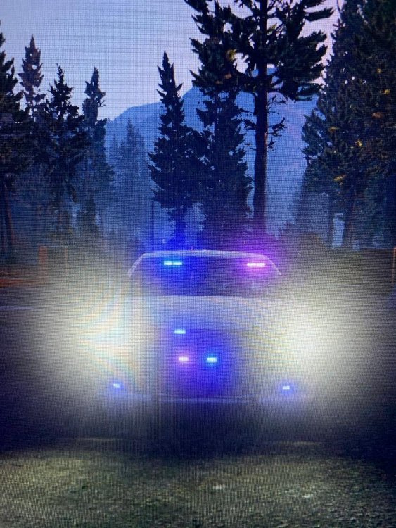 thumbnail.jpg