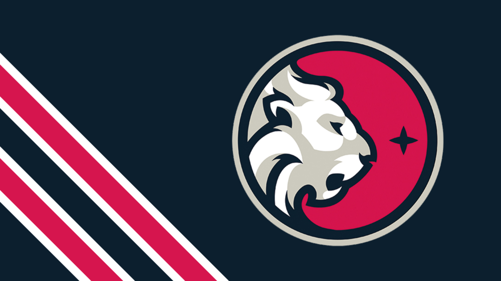 ns banner.png