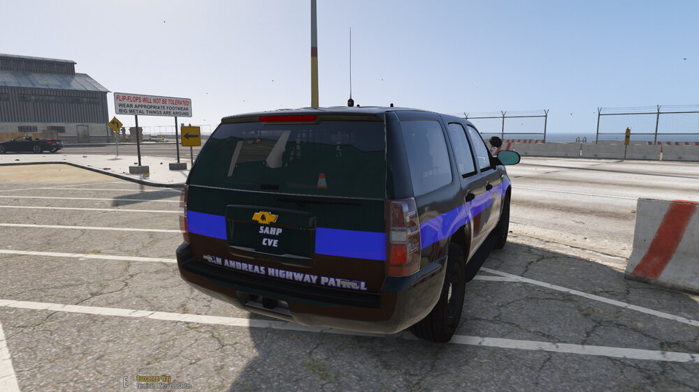 cvetahoe4.jpg