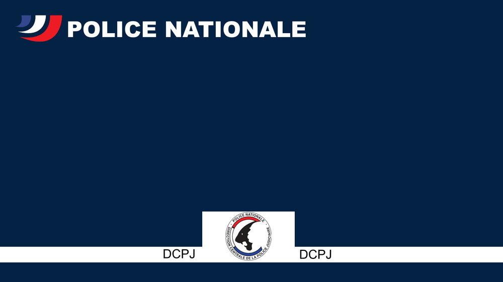 lspd.jpg