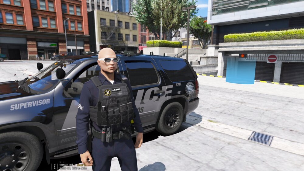 lspd3.jpg