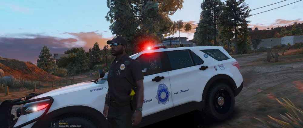 dpd5.jpg