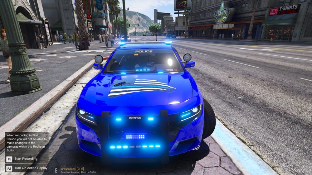 LSPD1.jpg