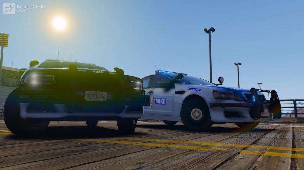 VSP1.jpg