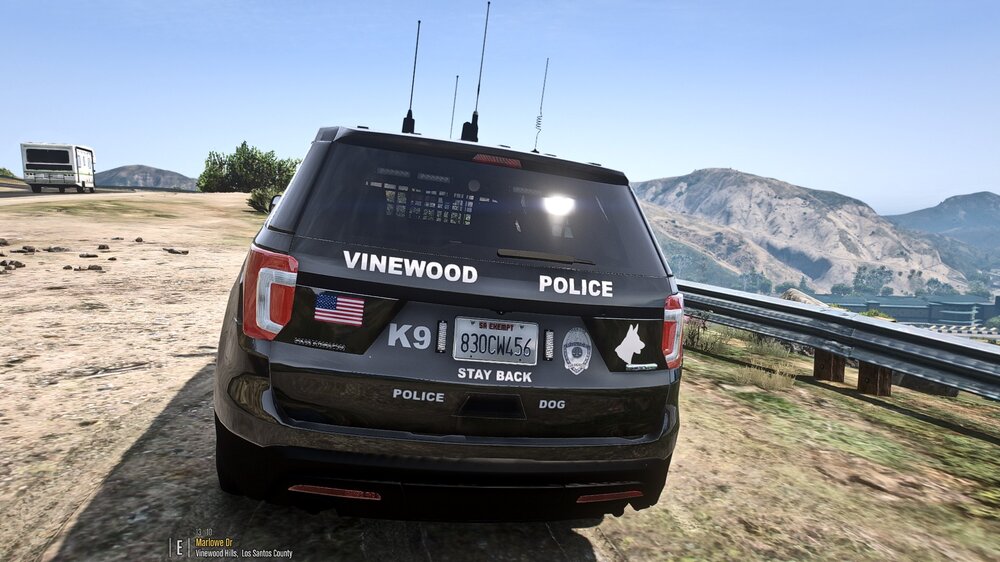 VWOOD6.jpg