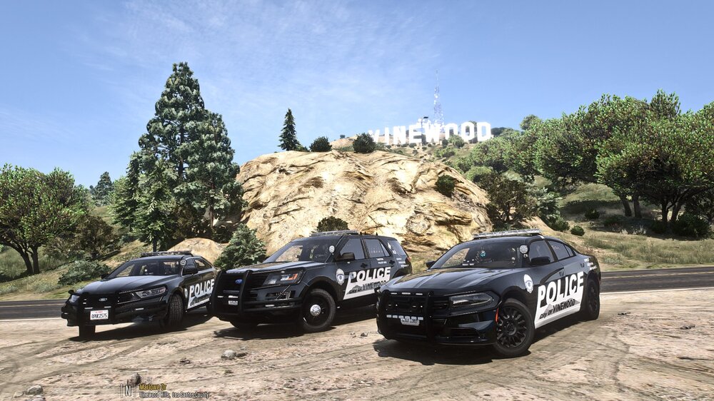 VWOOD8.jpg