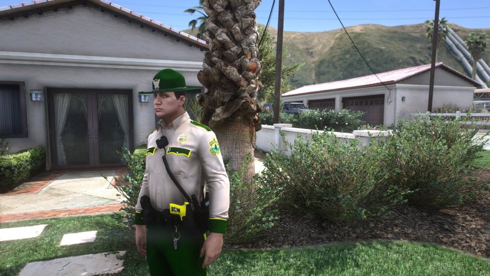 VSP1.jpg