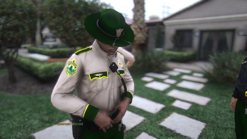 VSP3.jpg