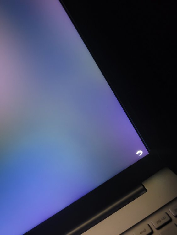 20221004_235431.jpg