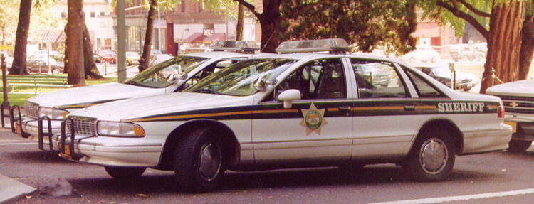 Could contain: vehicle, land vehicle, transport, wheel, outdoor, tree, car, full-size car, law enforcement, sedan, road, police, street, parked