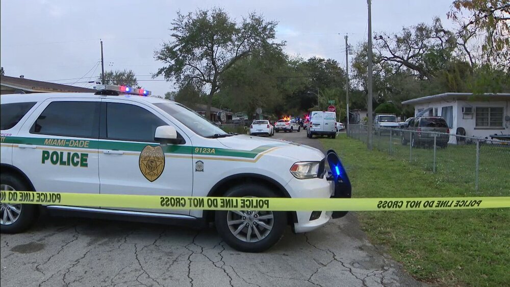 Could contain: vehicle, land vehicle, text, outdoor, wheel, transport, sky, emergency vehicle, emergency service, tire, police car, law enforcement, vehicle registration plate, police, emergency, tree, ford, motor vehicle, police van, full-size car, automotive exterior, auto part, grass, van, car, parked