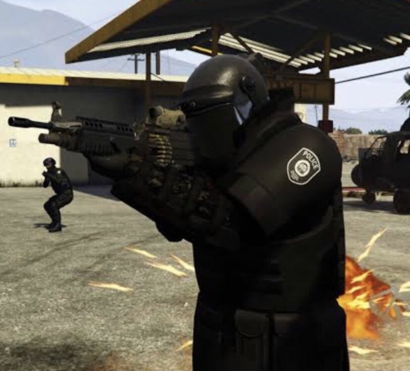 Could contain: weapon, firearm, rifle, ranged weapon, outdoor, gun, shooting, person