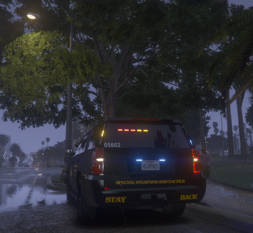 Could contain: land vehicle, vehicle, text, outdoor, tree, car, vehicle registration plate, wheel, automotive lighting, automotive tail & brake light, automotive exterior, road, auto part, automotive parking light, tire, automotive side marker light, transport, bumper, motor vehicle, street, light, driving