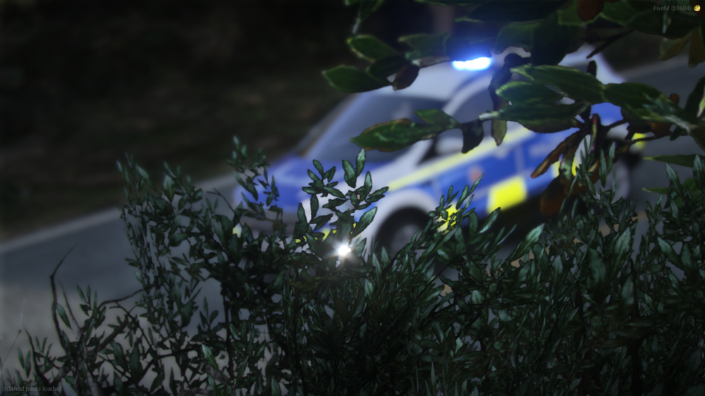 Could contain: outdoor, tree, light, plant, night