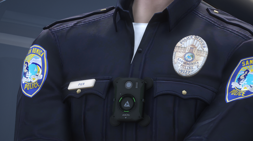 Could contain: clothing, person, security, law enforcement, official, government agency, police officer, uniform, officer, military uniform, police
