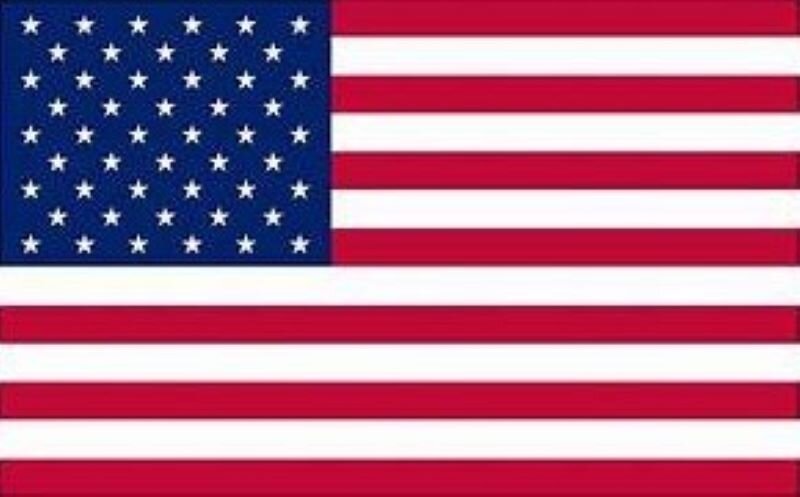 Could contain: flag, flag of the united states, flag day (usa)