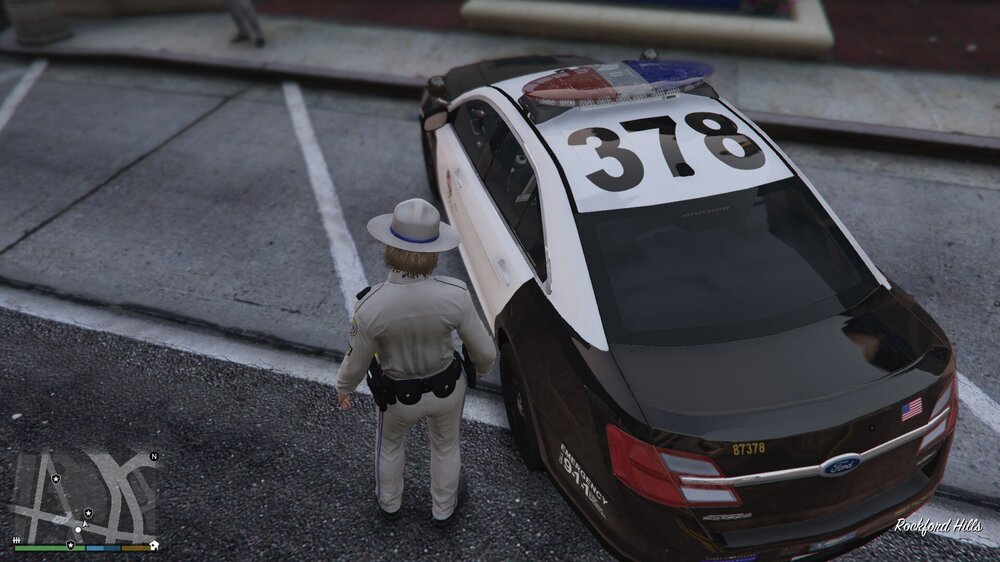 Could contain: vehicle, animal, outdoor, ground, car, land vehicle, road, dog, street, cat