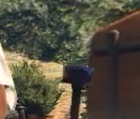 Could contain: outdoor, tree, plant, ground, person