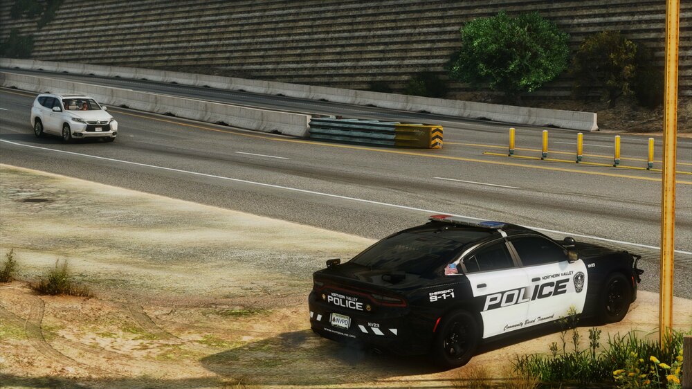 Could contain: vehicle, outdoor, land vehicle, text, wheel, car, road, grass, sports sedan, tire, full-size car, transport, mid-size car, sedan, sports car, police, street