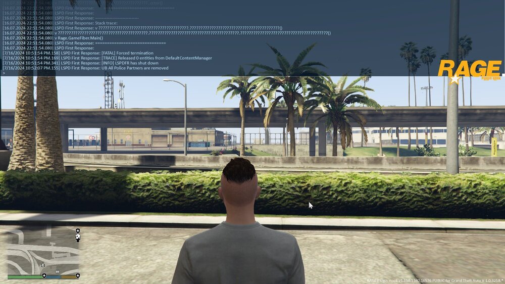 Could contain: tree, outdoor, sky, man, clothing, person, palm tree, plant, screenshot