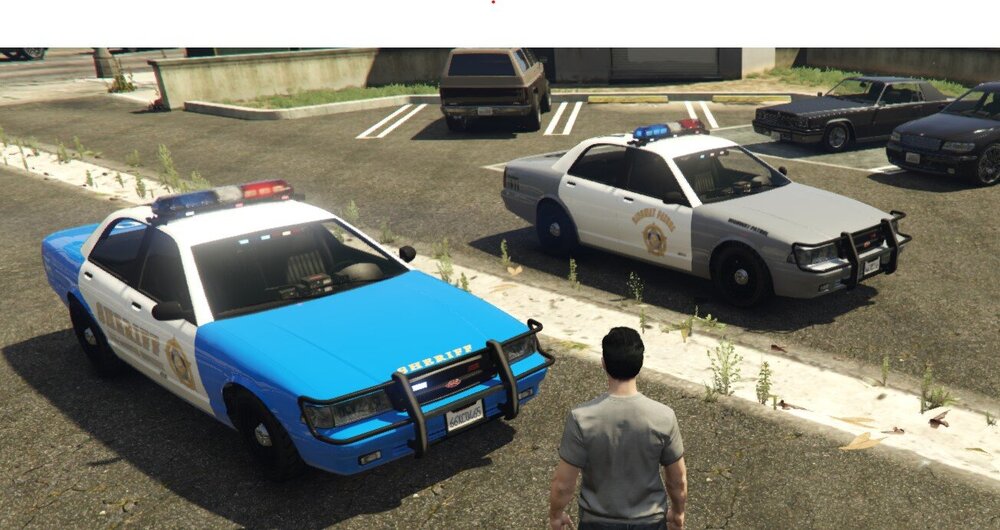 Could contain: vehicle, land vehicle, wheel, outdoor, police, transport, tire, road, motor vehicle, police car, van, automotive exterior, law enforcement, emergency, ground, car