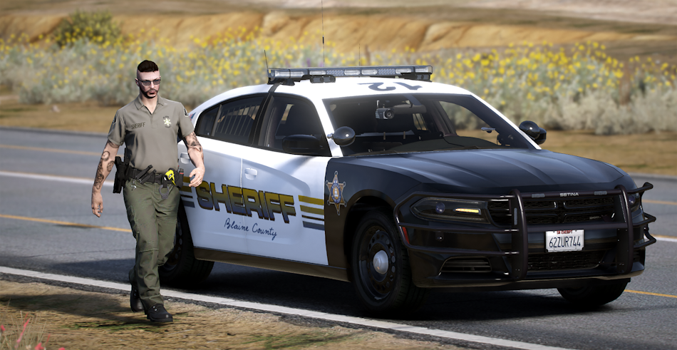 Could contain: vehicle, land vehicle, outdoor, wheel, law enforcement, police, full-size car, police car, road, tire, transport, car, ford, person, grass