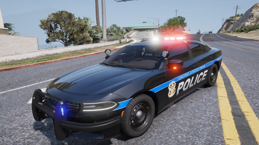 Could contain: vehicle, land vehicle, outdoor, wheel, road, transport, tire, automotive exterior, auto part, bumper, automotive design, automotive lighting, police, police car, car, street, ground