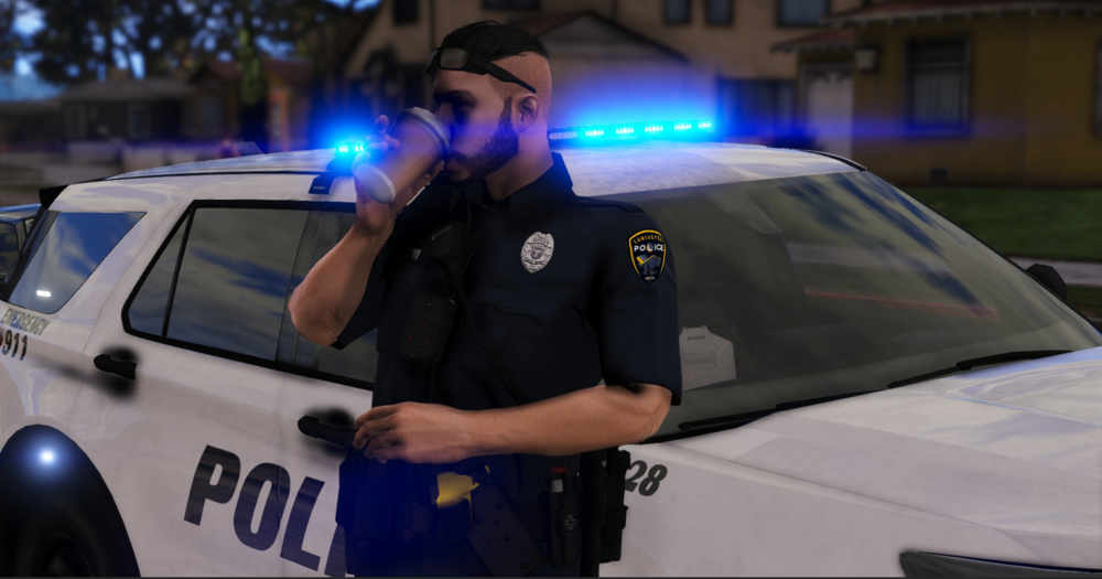 Could contain: vehicle, land vehicle, person, clothing, outdoor, law enforcement, wheel, police, man, police car, tire, automotive exterior, officer, car