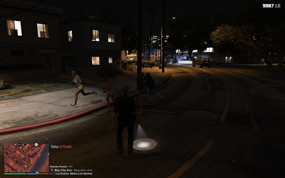 Could contain: outdoor, screenshot, tree, person, road, ground, street, night