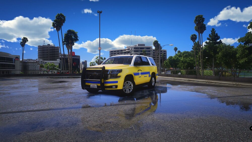 Could contain: sky, outdoor, land vehicle, vehicle, wheel, cloud, tree, tire, yellow, ground, transport, road, auto part, motor vehicle, street, driving, parked, car