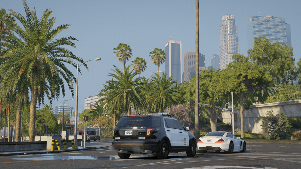 Could contain: outdoor, vehicle, land vehicle, sky, road, wheel, palm tree, truck, tire, road surface, street, building, car, city, palm, driving, downtown, tree