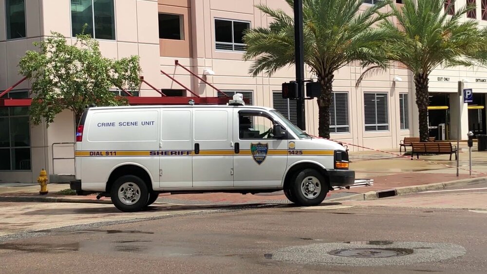Could contain: vehicle, land vehicle, outdoor, transport, wheel, emergency vehicle, tree, building, emergency service, emergency, ambulance, road, light commercial vehicle, street, police, van, parked